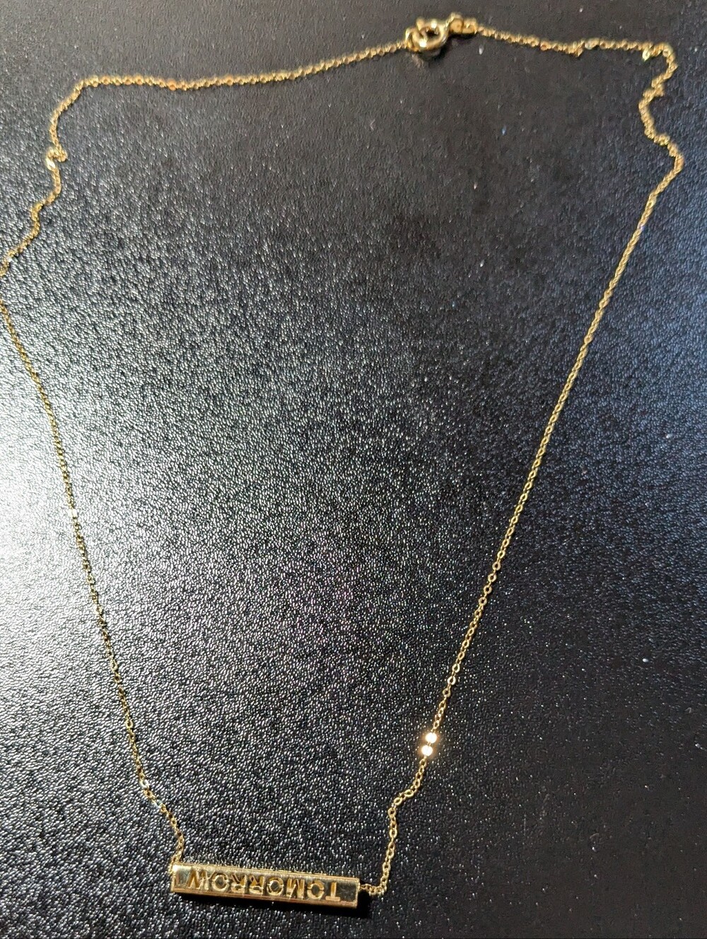10K Gold Longevity 18" Necklace